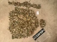Novritsch Modular 3D Ghillie Suit - Jacket, 3D Leaf Boonie 2.0 and Sniper Rifle Camo Cover 2.0 Gen 1