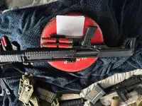 TM KSG & Quark bi-frost