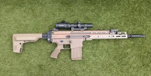 Scar H.webp