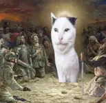 WTS Warrior Assault Systems Bits