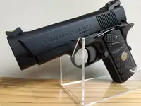 Custom TM Wilson combat Sentinel Compact