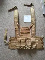 Flyye Industries RRV Chest Rig with 8 Magazine Pouch Slots