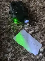 Laser sight