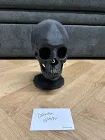 WhatsApp Image 2026-04-27 at 20.43.07 (15).webp