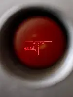 IMG_1600.webp