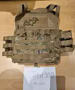 Plate carrier with foam plates