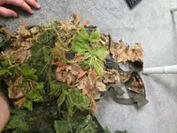 20260531_130438.webp