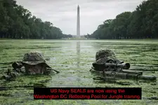 SEALS in Reflecting Pool.webp