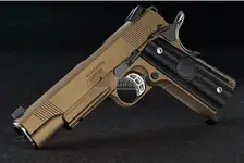 RWA Steel Nighthawk Co2