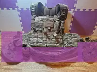 Warrior Assault Systems M4 Rig