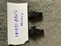 EMG polymer iron sights