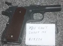We 1911 lower