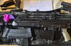 Tm saiga