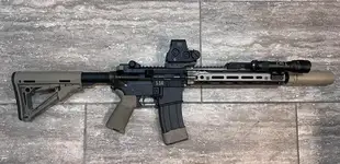 Short MLOK rail for MWS