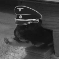 Adolf Hamster