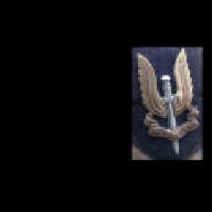 Special Assault Service