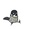 Tiercel