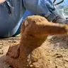 Ayla_P